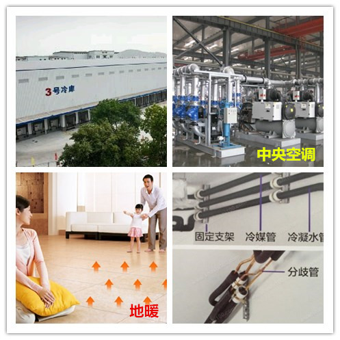 1581570220398576.jpg 20160125114850_25242.jpg